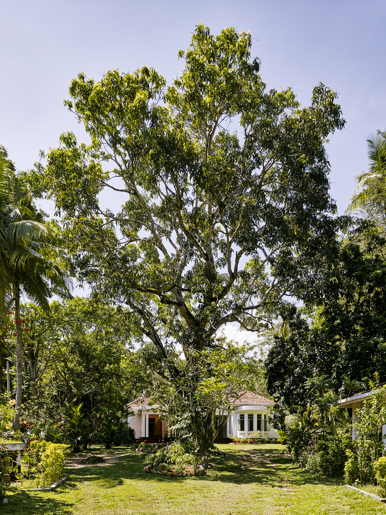 E15550 Alpa 049996 SCREEN